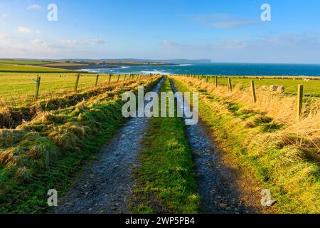 Dunnet Head von einem Farmweg in Long GOE, in der Nähe des Dorfes Mey, Caithness, Schottland, Großbritannien Stockfoto