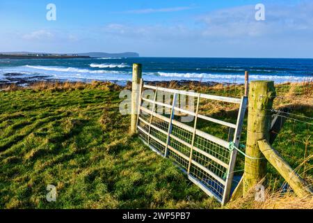 Dunnet Head und Pentland Firth, von einem Farmtor in der Nähe des Dorfes Mey, Nordküste von Caithness, Schottland, Großbritannien Stockfoto