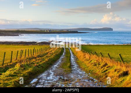 Dunnet Head von einem Farmweg in Long GOE, in der Nähe des Dorfes Mey, Caithness, Schottland, Großbritannien Stockfoto