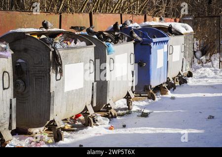 Tauben füttern draußen in Mülltonnen an sonnigen Tagen Stockfoto