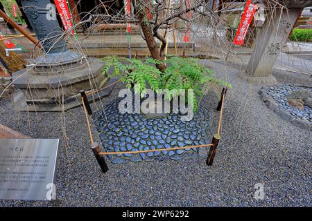 Chohoji (Rokkakudo) Tempel, ein historischer sechseckiger buddhistischer Tempel in Donomaecho, Nakagyo, Kyoto, Japan Stockfoto