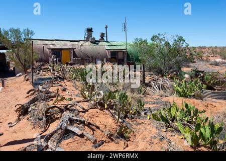 Blick auf einen donga im australischen Outback entlang des Strzelecki Track, South Australia, SA, Australien Stockfoto