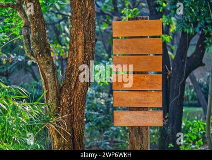 Leeres hölzernes Richtbrett in einem Park, braune Holzschablone unter großen Bäumen. Stockfoto