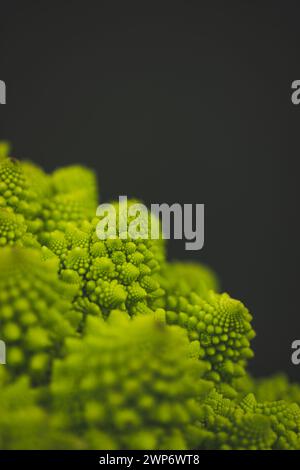 Blütenstände grüner frischer Romanesco-Brokkoli isoliert auf dunklem Hintergrund. Gartengemüse. Gesundes vegetarisches Essen. Blumenkopf Details. Stockfoto