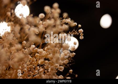 Getrocknete beige Blüten auf schwarzem Hintergrund. Kleine getrocknete Blütenstände von Wildblumen. Blumenkomposition im dunklen Innenraum. Floristisches Hochzeitskonzept. Stockfoto