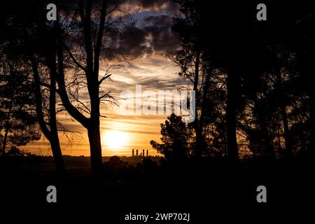 Gelber Himmel bei Sonnenuntergang. Cuatro Torres Business Center Wolkenkratzer am Horizont von Madrid, Spanien. Silhouette einer Stadt hinter treeы in einem Nadelwald. Stockfoto