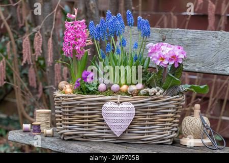 Gartenanlage mit rosa und blauen Frühlingsblumen in einem Korb Stockfoto