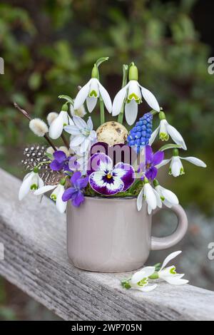 Blumenarrangement mit violetten Bratschenblüten, Veilchen, Schneeglöckchen und Traubenhyazinthe in einer Tasse Stockfoto