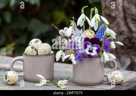 Blumenarrangement mit violetten Bratschenblüten, Veilchen, Schneeglöckchen und Traubenhyazinthe und Wachteleiern in einer Tasse Stockfoto