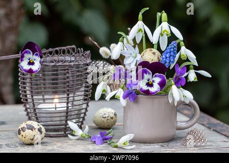 Blumenarrangement mit violetten Bratschenblüten, Veilchen, Schneeglöckchen und Traubenhyazinthe in einer Tasse und Vintage-Tischlaterne Stockfoto