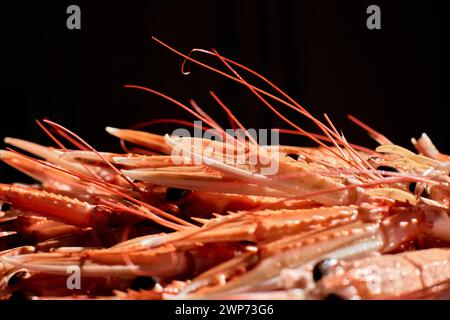Die Zangen und Antennen eines Krebskrebskopfes Nahaufnahme Stockfoto