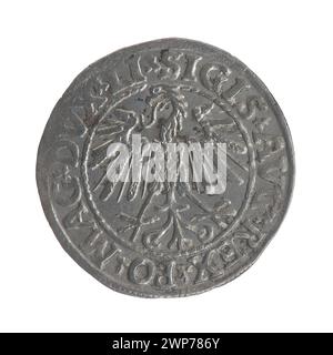 Litauischer Penny; Zygmunt II. August (polnischer König; 1544-1572); 1547 (1545-00-00-1545-00); Stockfoto