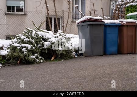 Verlassene Weihnachtsbäume auf der Straße neben dem Mülltonnen nach den Feiertagen. Ökologie und Abfallkonzept. Im Freien. Stockfoto