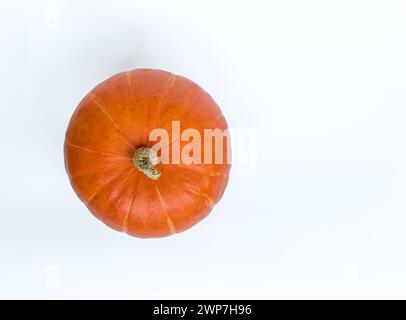 Blick von oben auf Kürbis (Red kuri Squash; Hokkaido) auf weißem Hintergrund isoliert mit schwachem Schatten Stockfoto