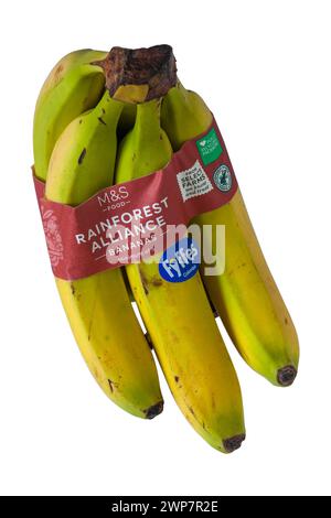 Bananen der Rainforest Alliance von M&S vollständig recycelbare Verpackungen, isoliert auf weißem Hintergrund Stockfoto