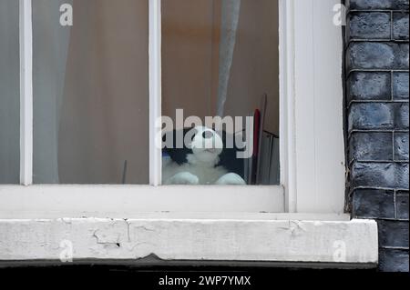 London, Großbritannien. März 2024. Ein Spielzeughund sitzt aus dem Fenster der Downing Street 11 auf Budget Day Credit: MARTIN DALTON/Alamy Live News Stockfoto