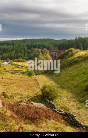 The Big Water of Fleet Viaduct, in der Nähe des Torhauses von Fleet, Galloway, Schottland. Stockfoto