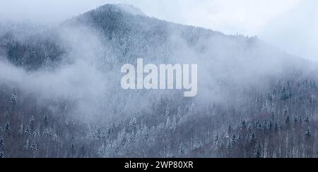 Ein Dampf über einem Berg im Winter. Nebelwolken über einem Bergwald Stockfoto