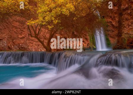 Ein landschaftlich reizvoller Waldwasserfall, der über Felsen kaskadiert Stockfoto