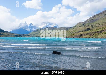 Ein malerischer Blick auf die Landschaft des Nationalparks Torres del Paine in Chile Stockfoto