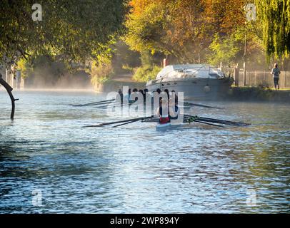 Ruderteams auf der Themse bei Iffley Lock und flussabwärts von Oxford. Es ist früh an einem nebeligen Wintermorgen, aber man kann hier alle möglichen Ruderbewegungen sehen Stockfoto