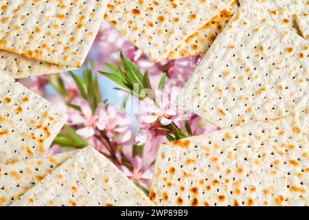 Passover-Sederzelebration-Konzept. Davidstern aus Matzah vor Frühlingsblüten-Baumgarten und Blumenlandschaft mit Sonnenstrahlen mit Kopie Stockfoto