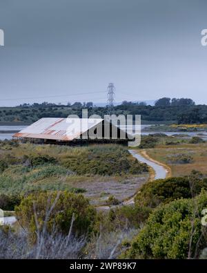 Eine Scheune steht auf einer offenen Ebene im Elkhorn Slough Reserve, Kalifornien, USA Stockfoto