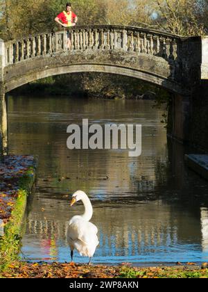 Der Thames Path Walkway ist eine Route, die häufig von Radfahrern, Joggern und Hundebesitzern besucht wird - ganz zu schweigen von Fotografen! Einer der vielen malerischen Orte ist Stockfoto