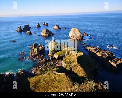 Der berühmte Nugget Point, das Wahrzeichen der Küste von Otago, Neuseeland Stockfoto