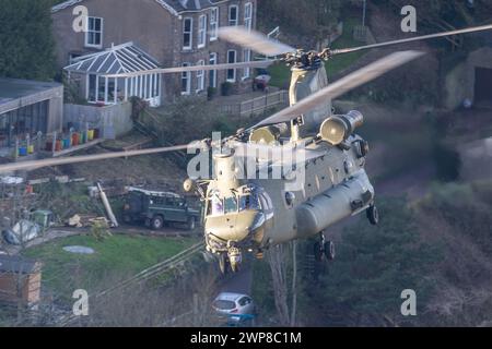 Chinook im Wye Valley Stockfoto