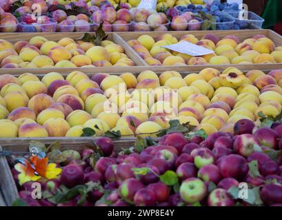 Frische Pfirsiche auf einem Marktstand neben verschiedenen Früchten Stockfoto