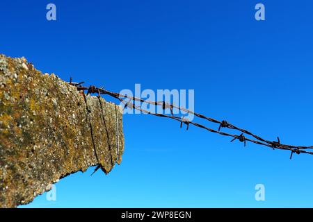 Stacheldraht, Doppeldraht, Metallband mit scharfen Spitzen für Barrieren. Rostiger Stacheldraht am blauen Himmel. Das Konzept des Krieges, die Einschränkung von Rechten Stockfoto