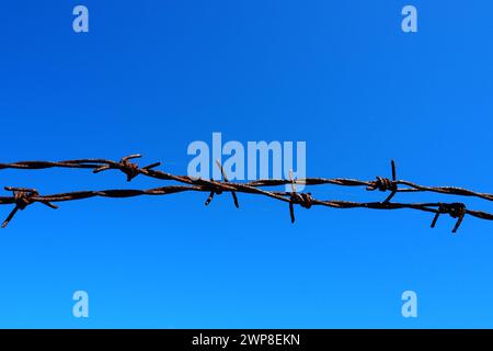 Stacheldraht, Draht, schmaler Streifen aus Metallband, mit scharfen Spitzen darauf, die als Barrieren verwendet werden. Rostiger Stacheldraht gegen den blauen Himmel. Die Stockfoto