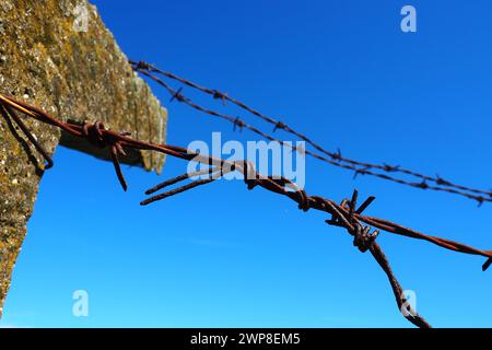 Stacheldraht, Doppeldraht, Metallband mit scharfen Spitzen für Barrieren. Rostiger Stacheldraht am blauen Himmel. Das Konzept des Krieges, die Einschränkung von Rechten Stockfoto