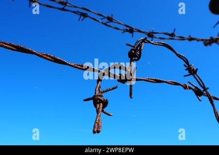 Stacheldraht, Draht, schmaler Streifen aus Metallband, mit scharfen Spitzen darauf, zur Herstellung von Barrieren. Rostiger Stacheldraht am blauen Himmel. Der Betrug Stockfoto