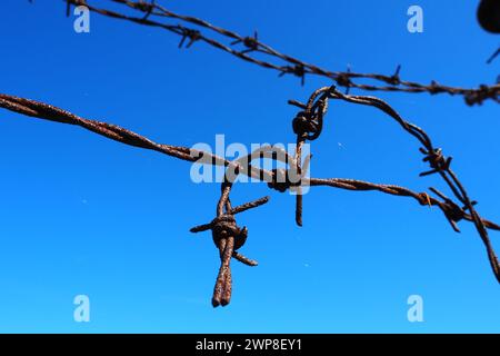 Stacheldraht, Draht, schmaler Streifen aus Metallband, mit scharfen Spitzen darauf, zur Herstellung von Barrieren. Rostiger Stacheldraht am blauen Himmel. Der Betrug Stockfoto