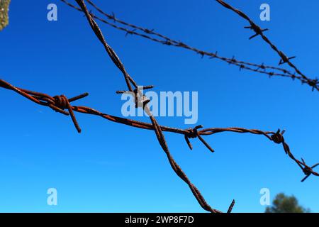 Stacheldraht, Draht, schmaler Streifen aus Metallband, mit scharfen Spitzen darauf, die als Barrieren verwendet werden. Rostiger Stacheldraht gegen den blauen Himmel. Die Stockfoto