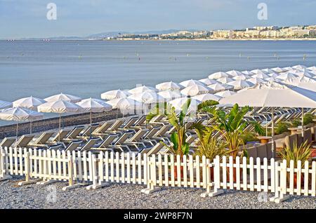 Frankreich. Schön. Schöner Strand mit Liegen, weißen Sonnenschirmen und Palmen. Luxusstrand vor dem Hintergrund der Schönheit des Meeres. Stockfoto