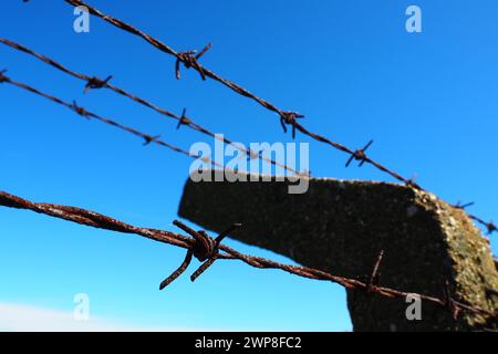 Stacheldraht, Doppeldraht, Metallband mit scharfen Spitzen für Barrieren. Rostiger Stacheldraht am blauen Himmel. Das Konzept des Krieges, die Einschränkung von Rechten Stockfoto