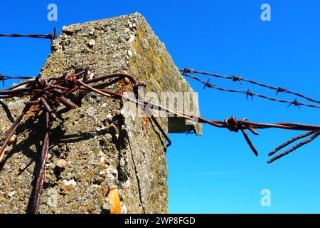 Stacheldraht, Doppeldraht, Metallband mit scharfen Spitzen für Barrieren. Rostiger Stacheldraht am blauen Himmel. Das Konzept des Krieges, die Einschränkung von Rechten Stockfoto