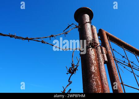 Stacheldraht, Doppeldraht, Metallband mit scharfen Spitzen für Barrieren. Rostiger Stacheldraht am blauen Himmel. Das Konzept des Krieges, die Einschränkung von Rechten Stockfoto