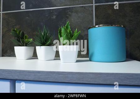 Dekorelemente im Badezimmer. Ein blaues Glas mit Sahne oder Öl, grüne künstliche Pflanzen in kleinen weißen Töpfen stehen auf einem Regal des Schranks. Schwarze Wandfliesen. Badezimmer Stockfoto