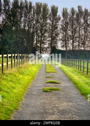 Heythrop Park ist ein 440 Hektar großer Park im Herzen der Cotswolds. Es hat ein denkmalgeschütztes Landhaus aus dem frühen 18. Jahrhundert, das jetzt konvertiert ist Stockfoto