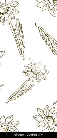Kritzelskizze mit isolierten Honigblumen. Vektorillustration kann für botanisches Design, Poster und Druck für Innenräume verwendet werden. Retro-Vintage-Illustration Stock Vektor
