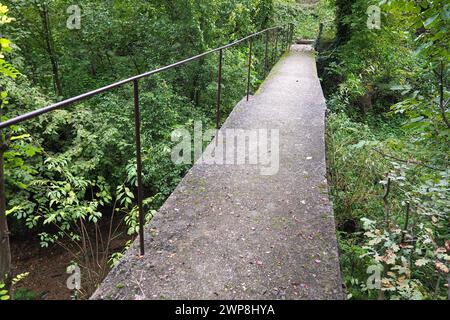 Banja Koviljacha, Serbien, Loznica, Gutschevo. Eine alte, schmale Betonbrücke über einen Bergfluss mit einem Metallzaun. Büscheldickicht, Efeu Stockfoto