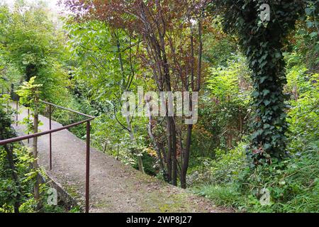 Banja Koviljacha, Serbien, Loznica, Gutschevo. Eine alte, schmale Betonbrücke über einen Bergfluss mit einem Metallzaun. Büscheldickicht, Efeu Stockfoto