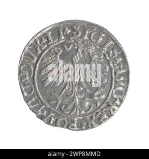 Litauischer Penny; Zygmunt II. August (polnischer König; 1544-1572); 1558 (1545-00-00-1545-00); Stockfoto