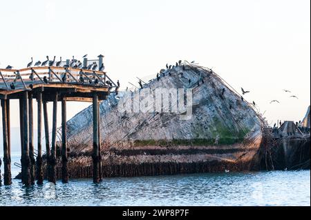 Nahaufnahme der SS Palo Alto, ein altes Schiffswrack aus dem Zweiten Weltkrieg bei Sonnenuntergang, vor der Küste von Aptos, in der Nähe von seacliff Beach, Californa Stockfoto