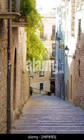 Spanien. Katalonien. Blick auf die Stadt von Gerona. Catedral de Santa Mar a de Girona. Stockfoto