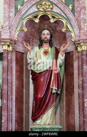 Altar des Heiligen Herzens Jesu in der Pfarrkirche St. Lukas in Lukac, Kroatien Stockfoto